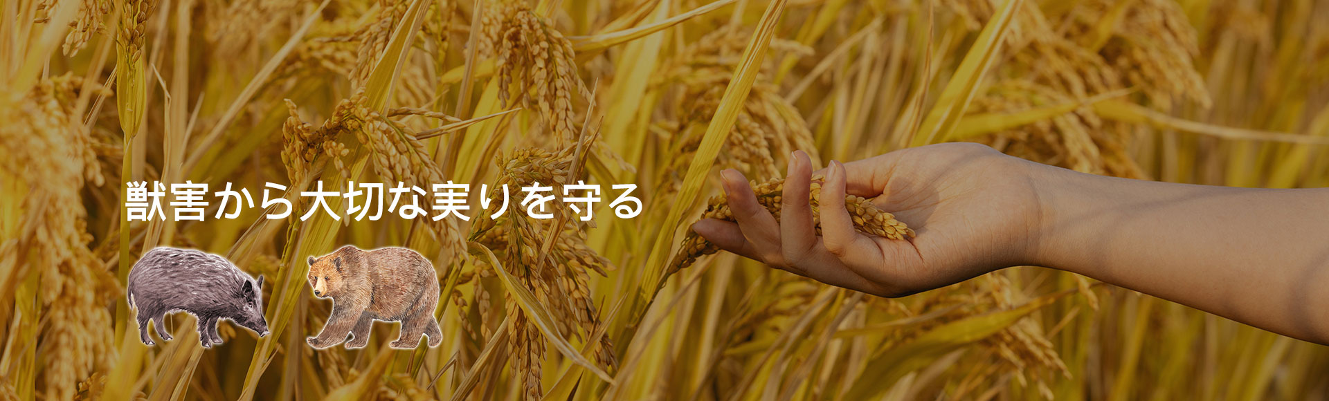 廣告標(biāo)題