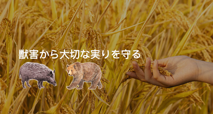 廣告標(biāo)題